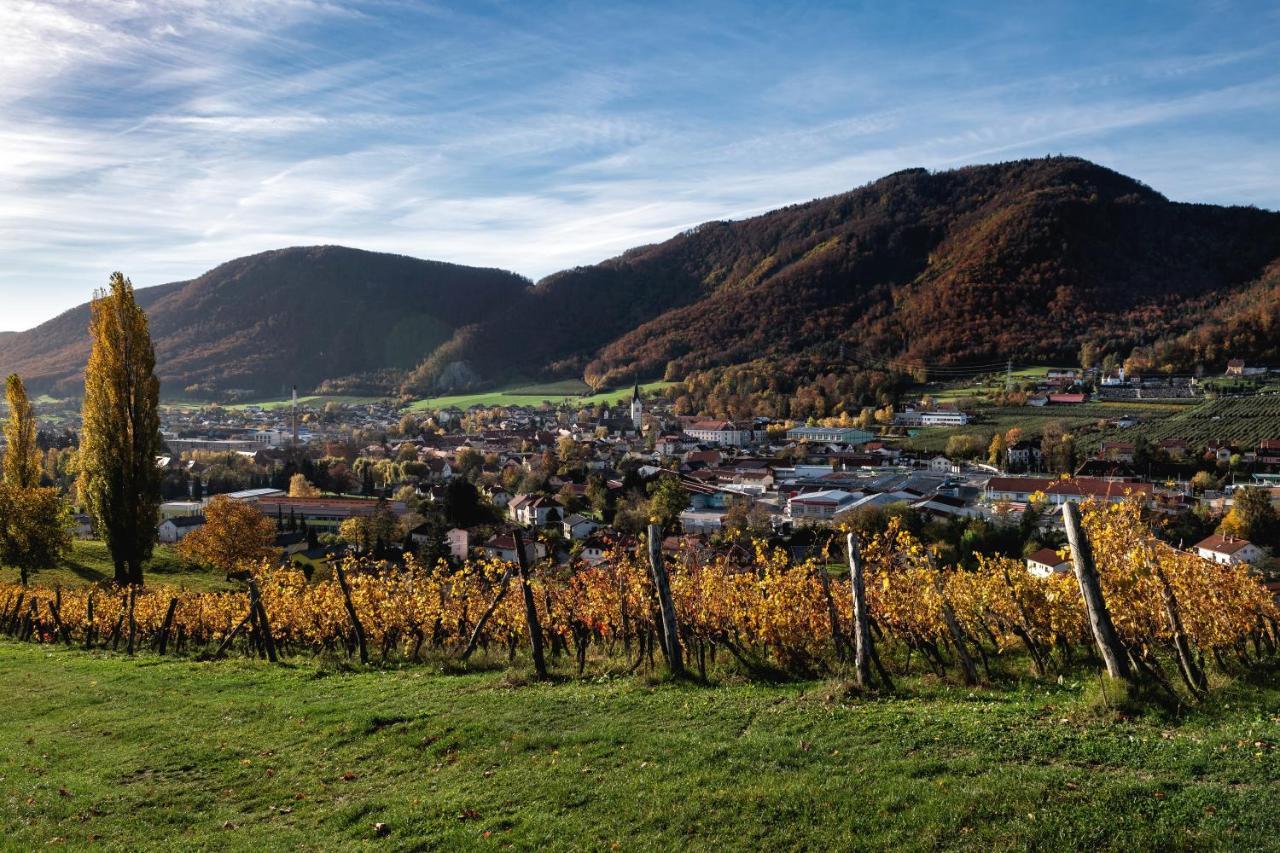 Dvorec Trebnik - Sobe Slovenske Konjice Екстериор снимка