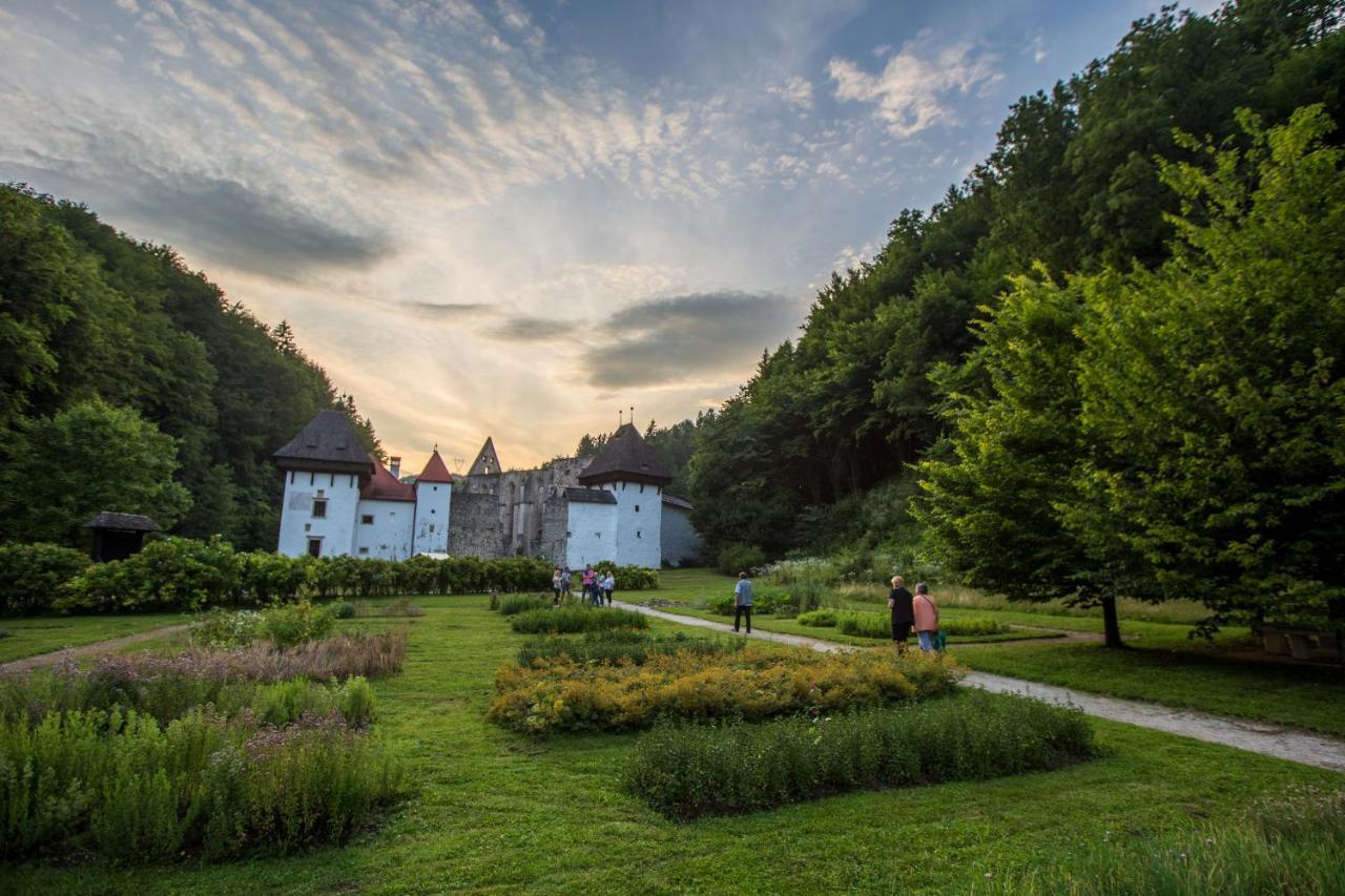 Dvorec Trebnik - Sobe Slovenske Konjice Екстериор снимка